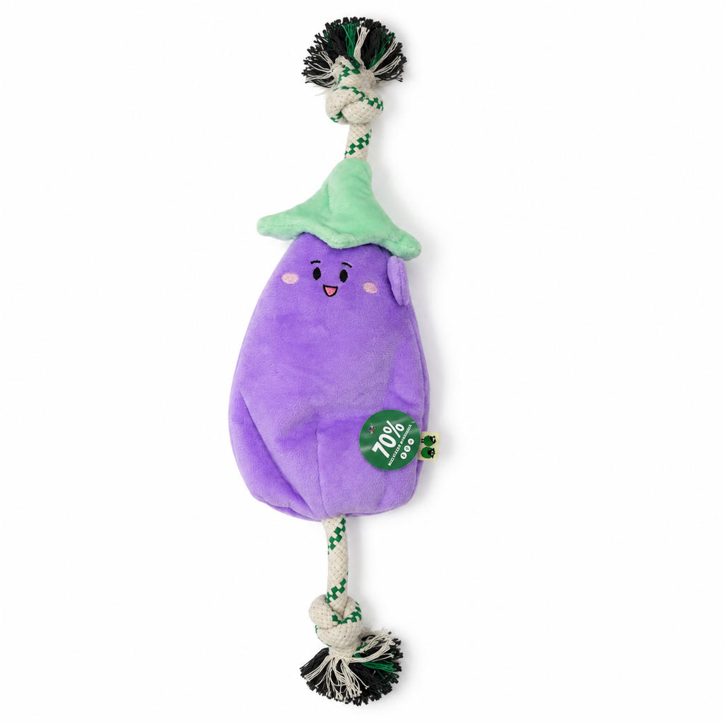 Multi-Play Veggie Toy