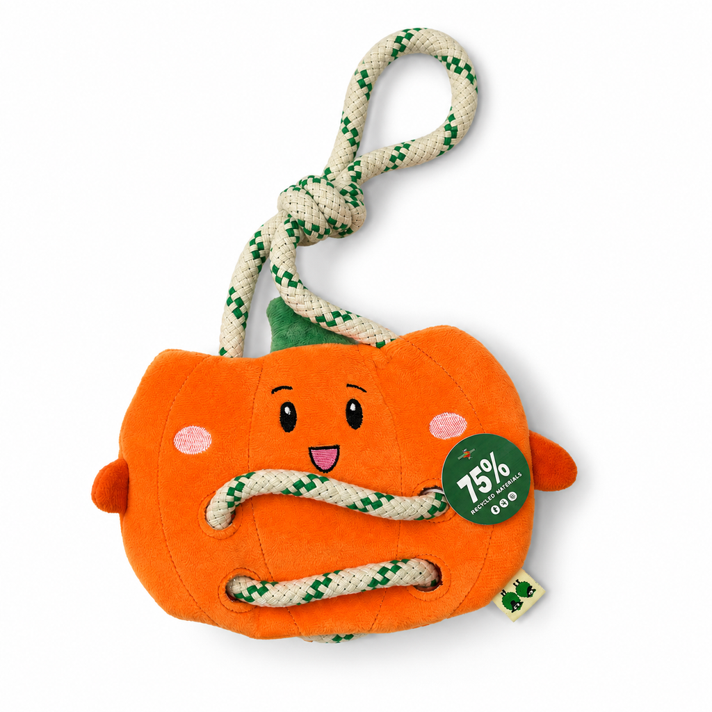 Multi-Play Veggie Toy