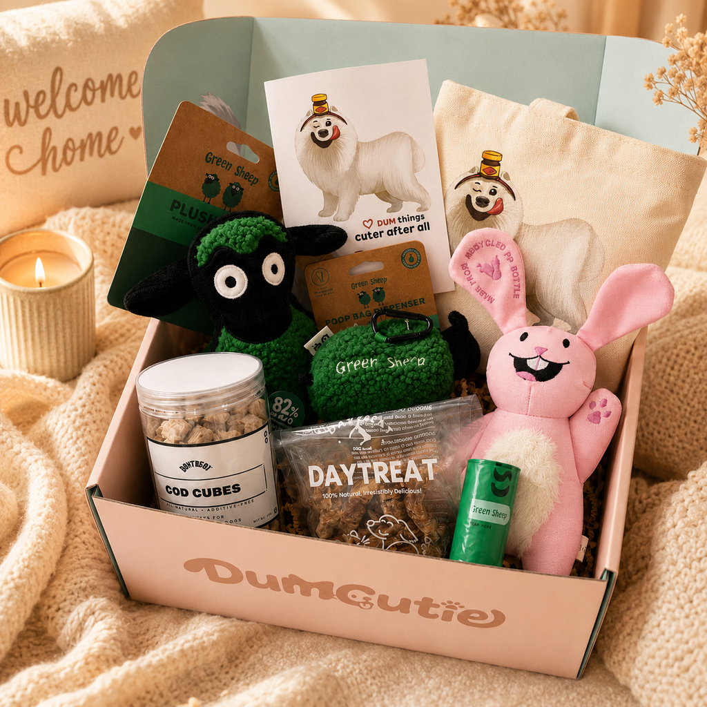 DumCutie Box