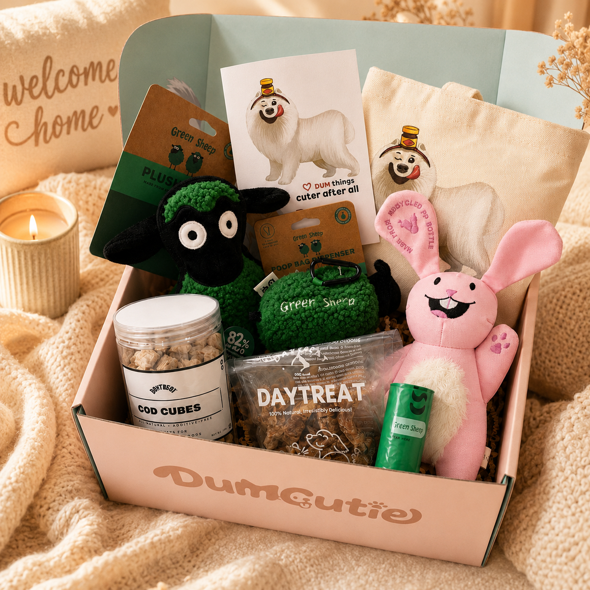 DumCutie Box
