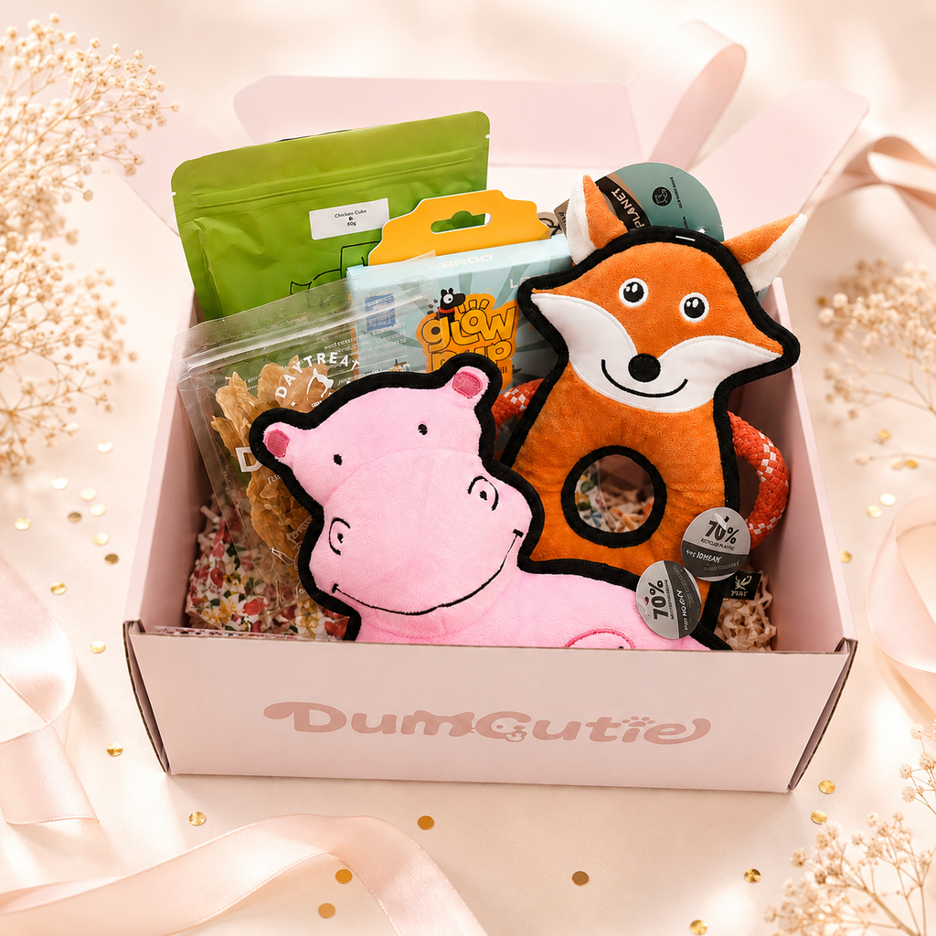 DumCutie Box